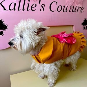 Designer Rain Coat with Decorative Lining.